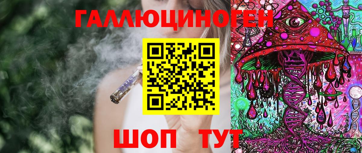 Псилоцибиновые грибы GOLDEN TEACHER Сланцы